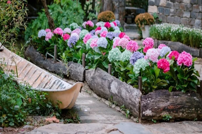 How To Upgrade My Garden Homemendous Easy Guide