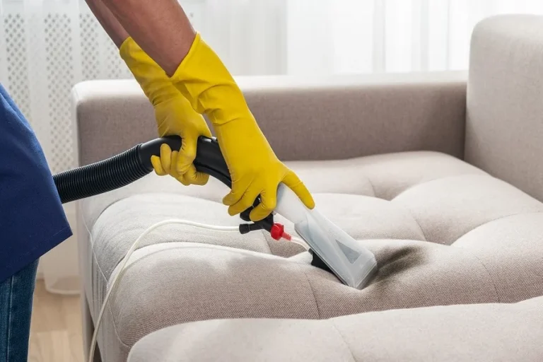How To Remove PET Hair From Couch Easily at Home