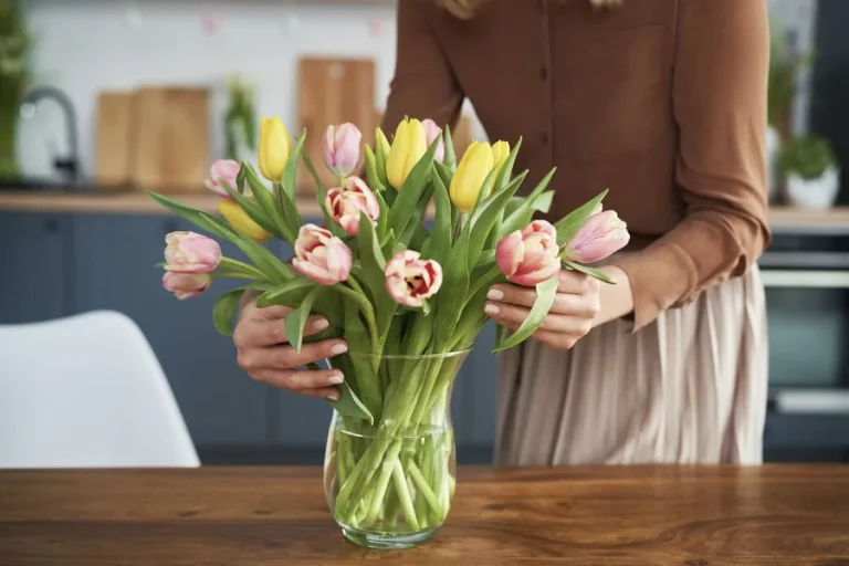 Tulips In Vase