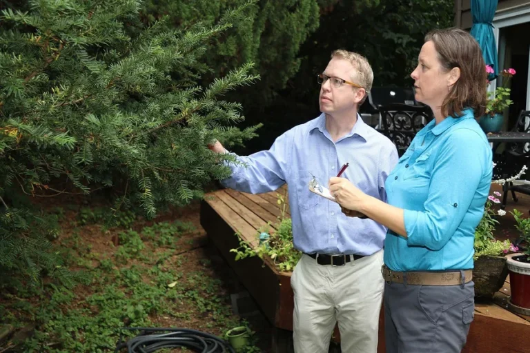 How Can You Choose the Right Tree Service Provider for Your Property? Tree Service
