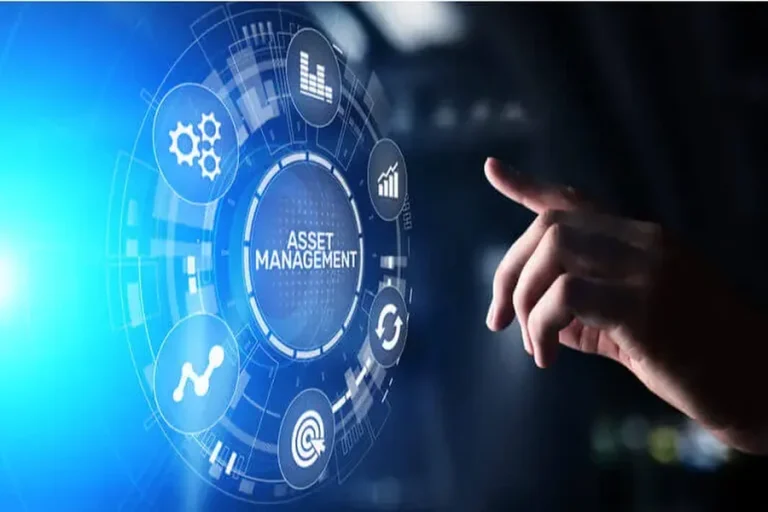 Digital Asset Management Software for Business Efficiency Digital Asset Management Software